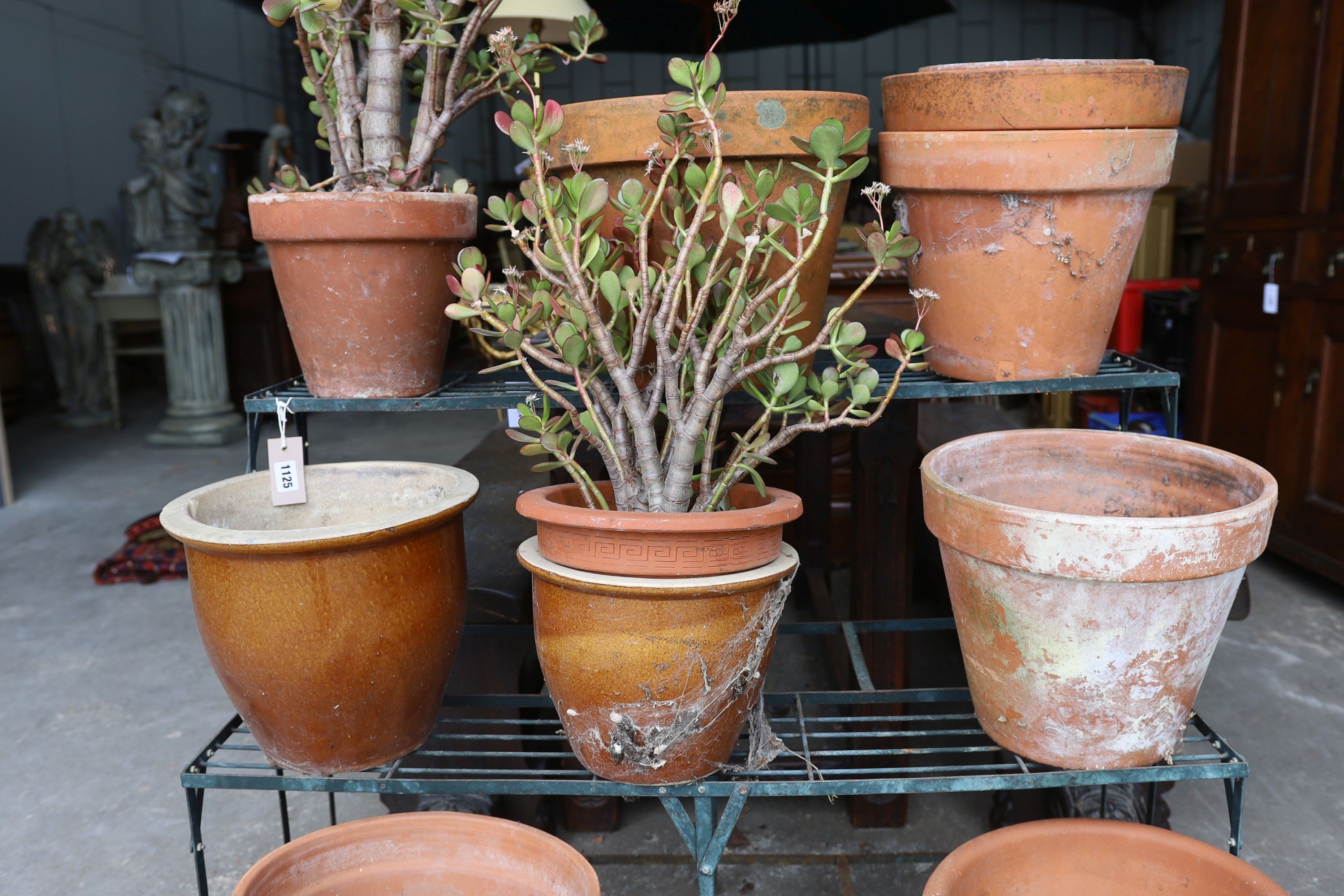 A painted wrought iron three tier pot stand together with a collection of 13 assorted terracotta and pottery pots